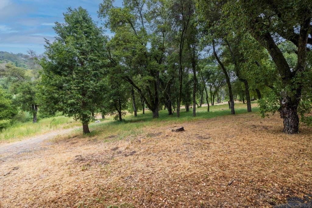 1125 River Wood Rd, Santa Ysabel, CA 92070 photo 47