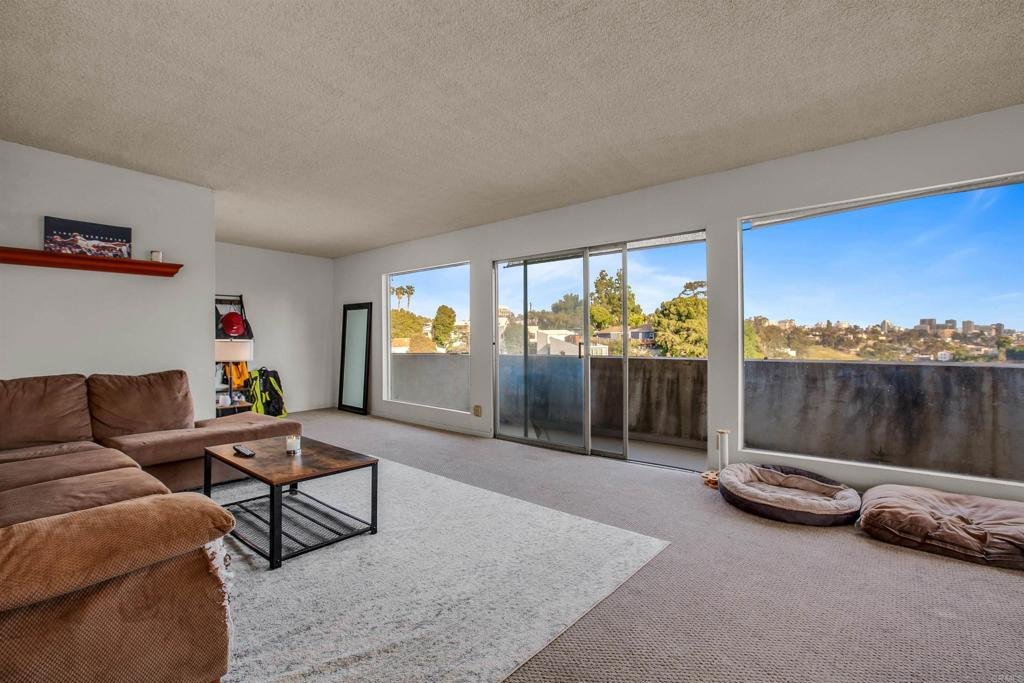 3701 3 Hawk Street, San Diego, CA 92103 photo 30